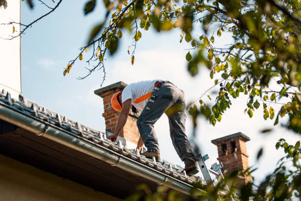 Best Flat Roof Repair Services  in Burlington, CO