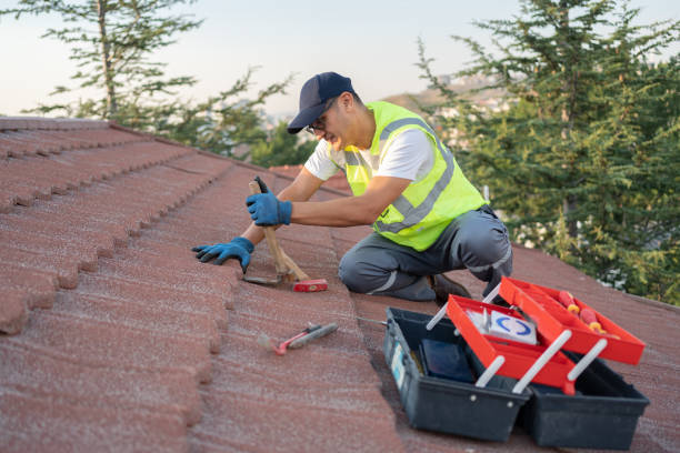 Best Metal Roofing Contractor  in Burlington, CO